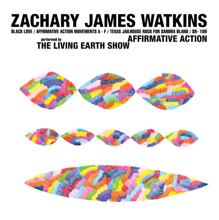 Zachary James Watkins – Affirmative Action